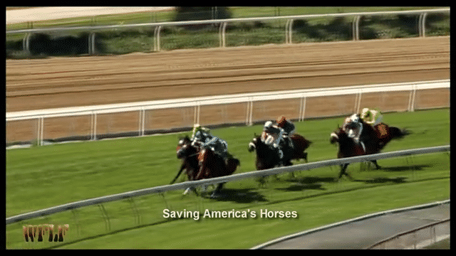 Racetrack clip from Saving America's Horses
